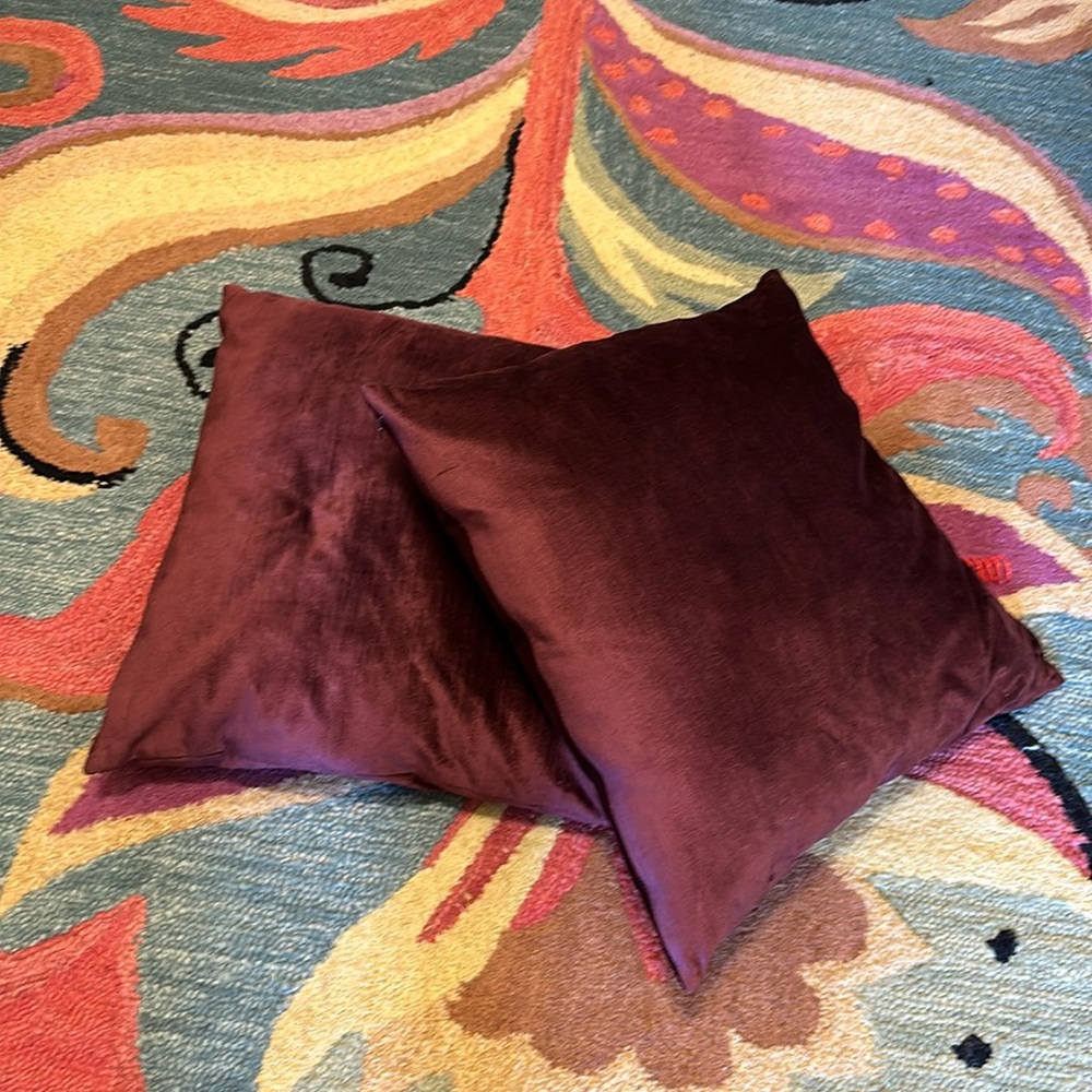 West elm velvet throw pillows